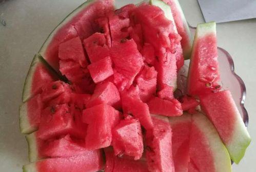 韩城黄河滩吃瓜某网红,揭秘黄河滩西瓜的独特魅力